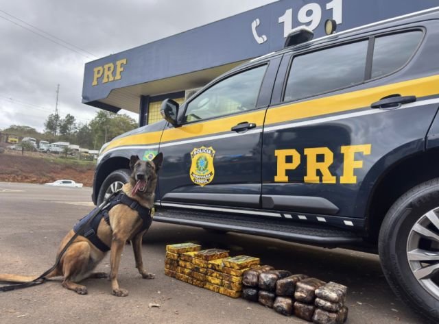 PRF apreende 35 quilos de drogas em carreta na BR-282 em Xanxerê