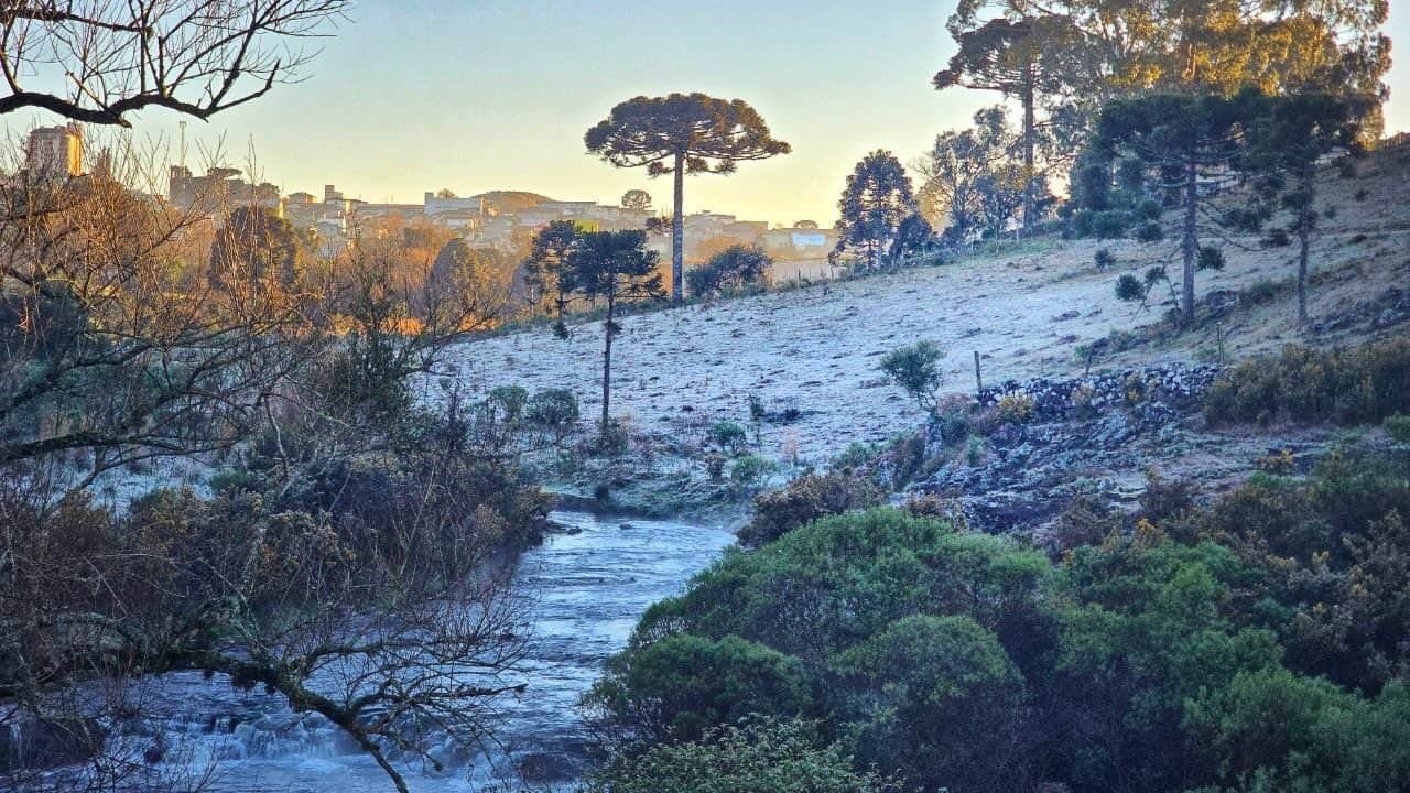 SC registra geada com mínimas de -4,5°C dias antes do fim do inverno