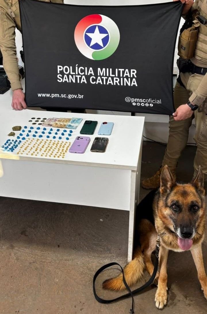 Cinco pessoas são conduzidas à delegacia após apreensão de drogas em Chapecó
