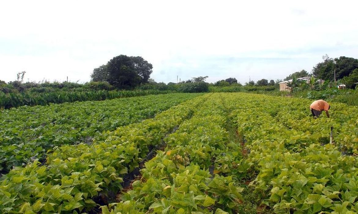 Governo libera R$ 64,3 milhões para segurança alimentar e povos indígenas