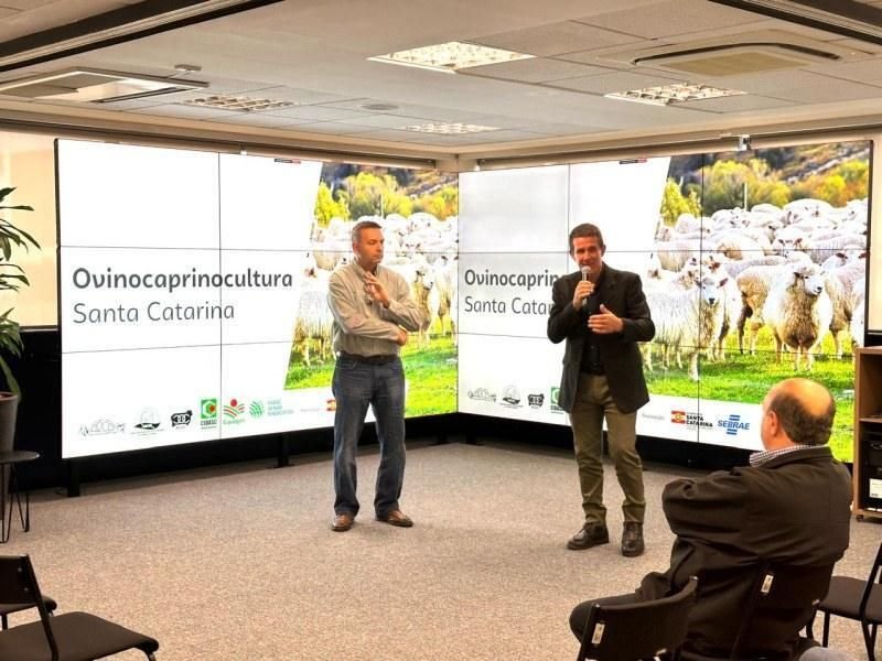 Sebrae/SC apresenta estudo para fortalecer a ovinocaprinocultura em Santa Catarina