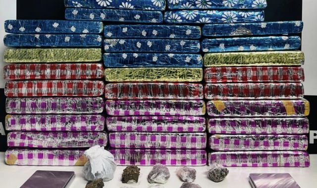 Polícia Civil apreende 30 kg de maconha e prende jovem em Chapecó