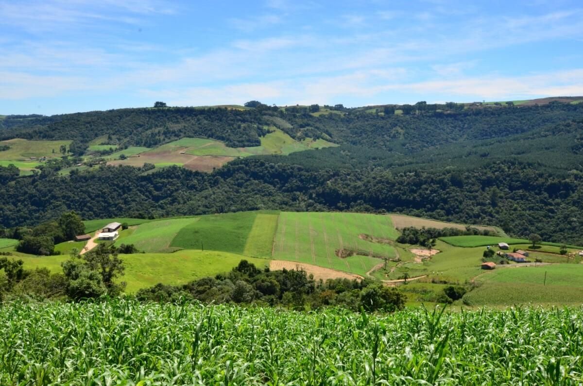 SC Rural 2 disponibiliza R$ 21,9 milhões para agricultores e pescadores até 24 de outubro