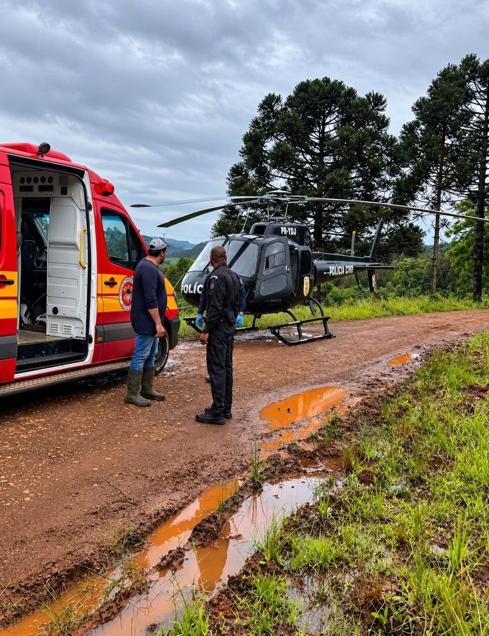 Jovem de 23 anos é gravemente ferido após ser atingido por árvore e atropelado em Faxinal dos Guedes