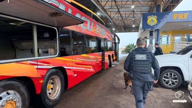 Polícia Civil intensifica combate ao tráfico no Oeste de SC com a Operação FARO