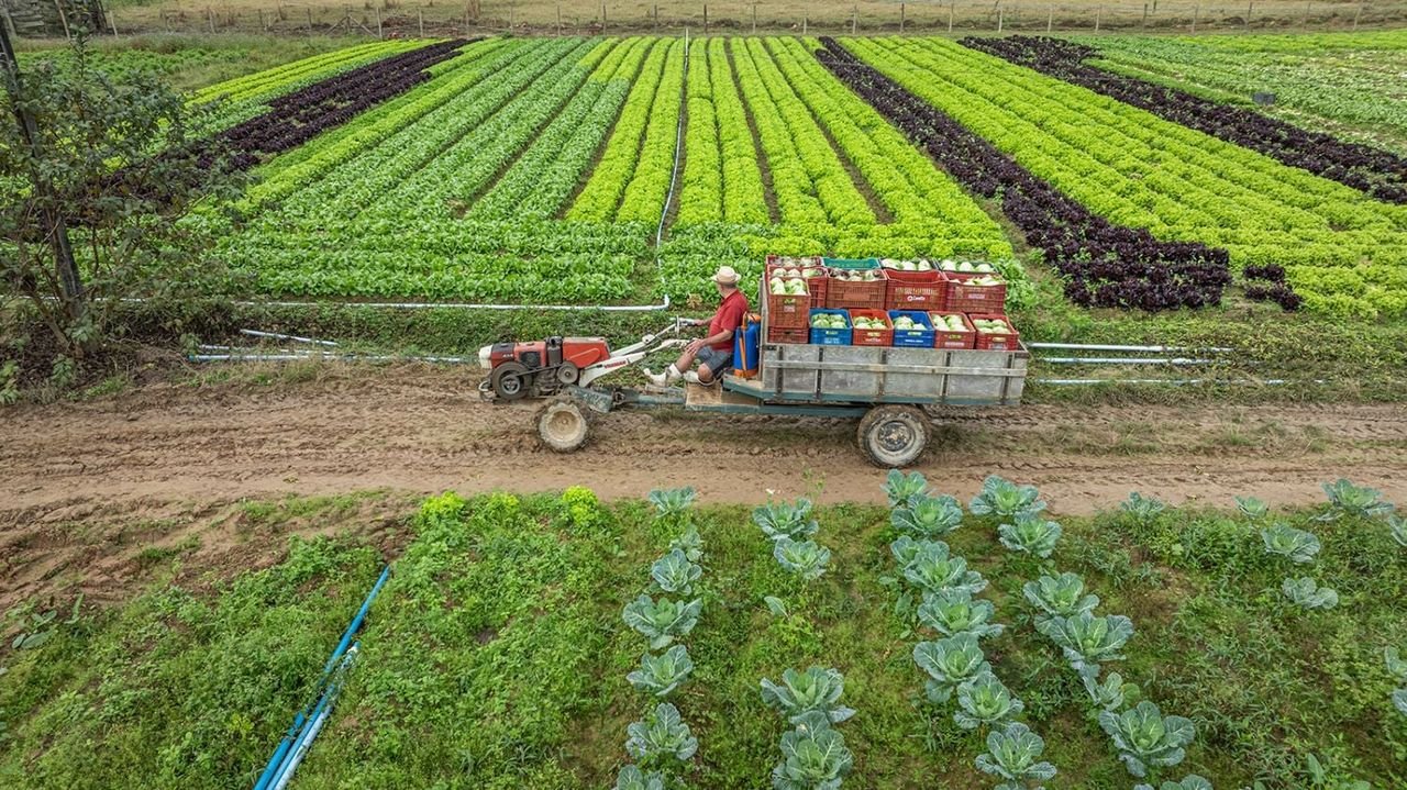 Governo de SC aumenta limite de créditos de ICMS para produtores rurais para R$ 2,5 milhões